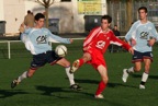 _MG_8236.jpg